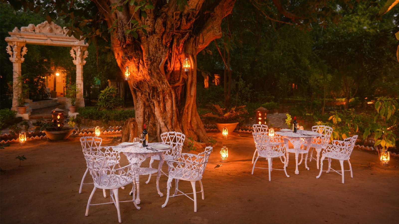 Bush Dining Experience